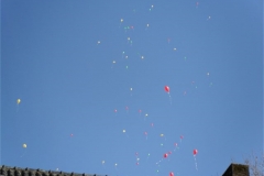 sam_0327